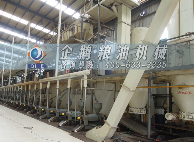 如何降低壓榨花生油中黃曲霉毒素含量？企鵝糧油機(jī)械為您提供可靠方法(圖3)