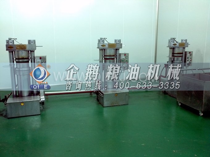 芝麻油壓榨處理設(shè)備,企鵝牌液壓榨油機(jī)勇于創(chuàng)新生產(chǎn)效率高(圖4) 芝麻油壓榨處理設(shè)備,企鵝牌液壓榨油機(jī)勇于創(chuàng)新生產(chǎn)效率高(圖4)