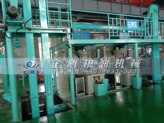 企鵝牌核桃油榨油設(shè)備，生產(chǎn)綠色健康油受大眾喜愛(ài)(圖4)