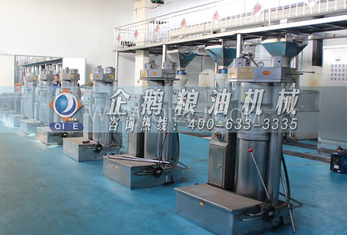 芝麻油提取加工,企鵝糧油機械生產(chǎn)色香味俱佳的油脂(圖3) 芝麻油提取加工,企鵝糧油機械生產(chǎn)色香味俱佳的油脂(圖3)